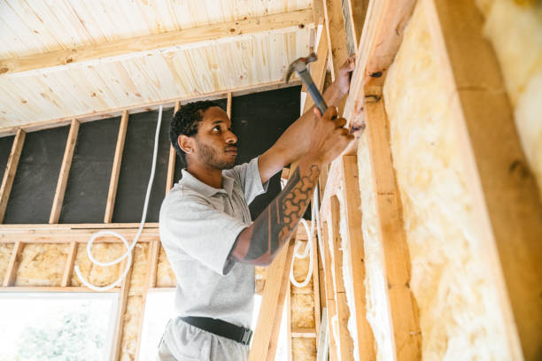 Best Attic Insulation Installation  in Centralia, MO